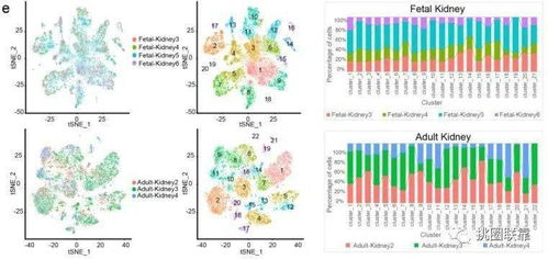 42分Nature頂刊單細胞測序綜述 刷新人類細胞圖譜認知，揭示下一波研究熱點